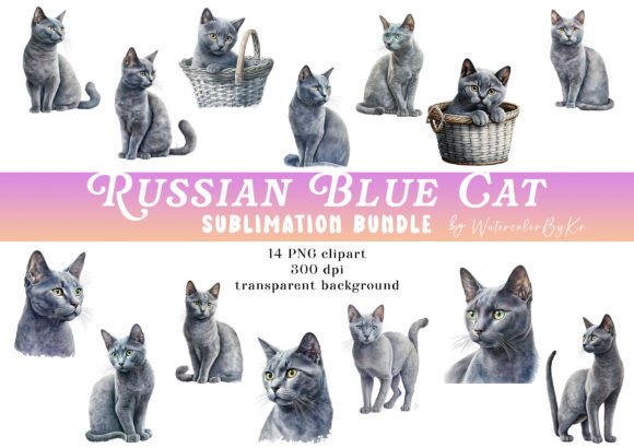 Download Russian Blue Cat Bundle Clipart - Cat bundle Collection