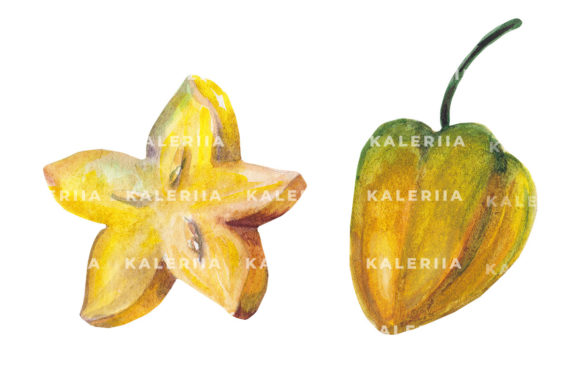 Download Hand Drawn Watercolor Juicy Carambole - Juicy Collection
