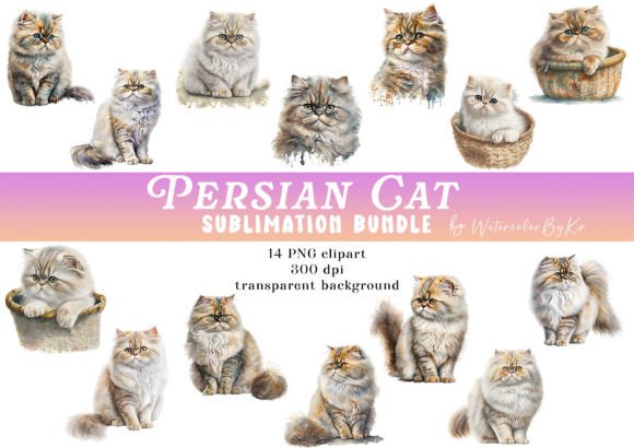 Download Watercolor Persian Cat Bundle Clipart - Premium Resources