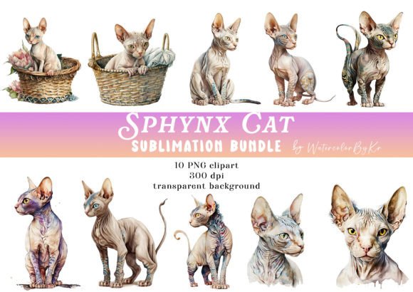 Download Watercolor Sphynx Cat Bundle Clipart - Premium Resources