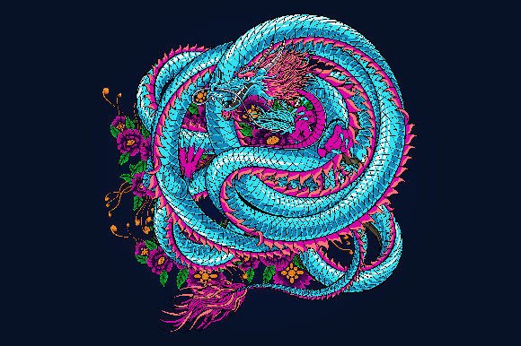 Download Premium Design Dragon Illustration - Premium design Collection