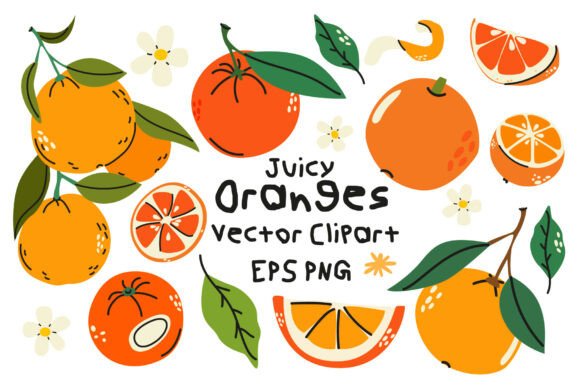 Download Juicy Orange Citrus Fruit Vector Clipart - Juicy Collection