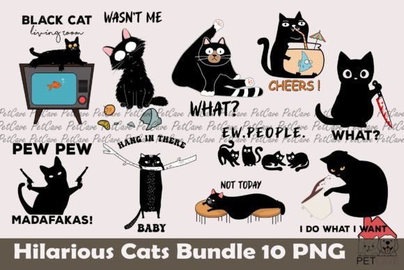 Download Hilarious Cat Bundle Sublimation - Cat bundle Collection
