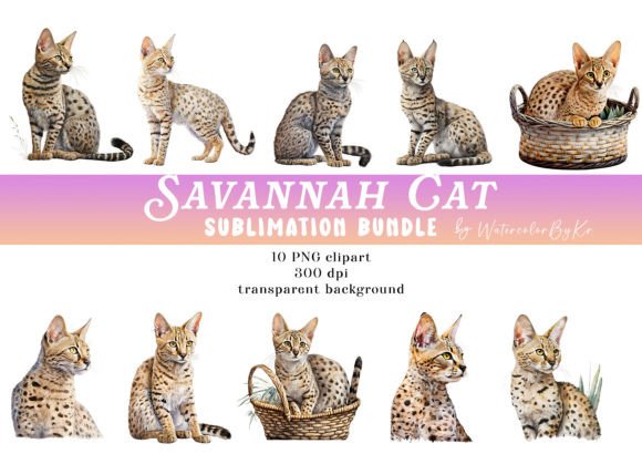 Download Watercolor Savannah Cat Bundle Clipart - Premium Resources