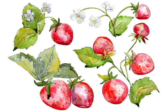 Download Juicy Strawberry Watercolor - Juicy Collection
